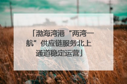 渤海湾港“两湾一航”供应链服务北上通道稳定运营