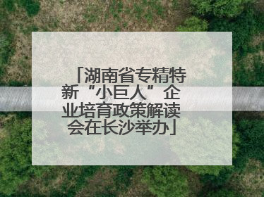 湖南省专精特新“小巨人”企业培育政策解读会在长沙举办