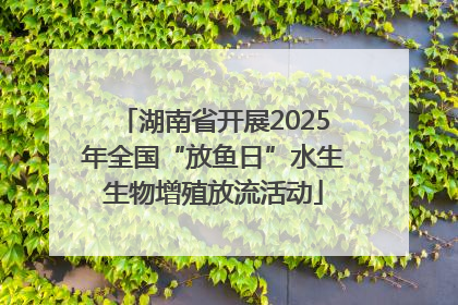 湖南省开展2025年全国“放鱼日”水生生物增殖放流活动