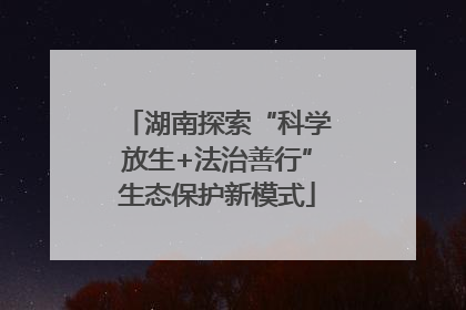 湖南探索“科学放生+法治善行”生态保护新模式