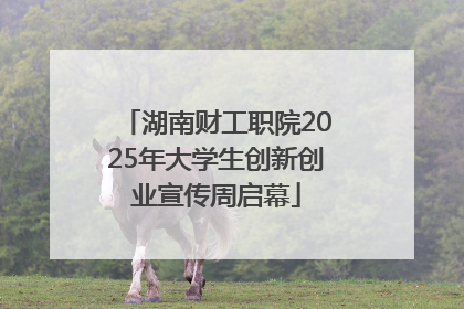 湖南财工职院2025年大学生创新创业宣传周启幕