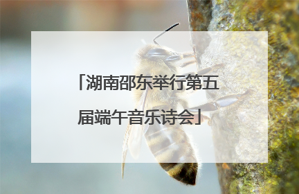 湖南邵东举行第五届端午音乐诗会