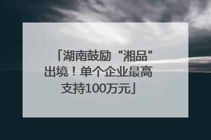 湖南鼓励“湘品”出境！单个企业最高支持100万元
