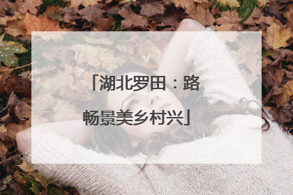 湖北罗田：路畅景美乡村兴