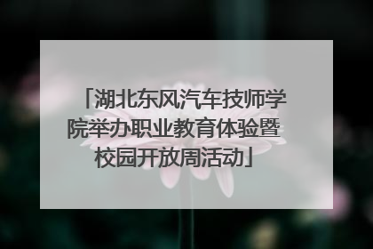 湖北东风汽车技师学院举办职业教育体验暨校园开放周活动