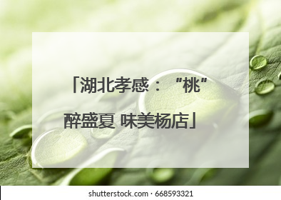 湖北孝感：“桃”醉盛夏 味美杨店