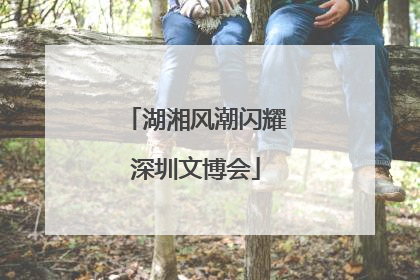 湖湘风潮闪耀深圳文博会