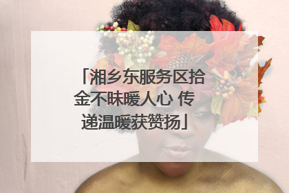 湘乡东服务区拾金不昧暖人心 传递温暖获赞扬