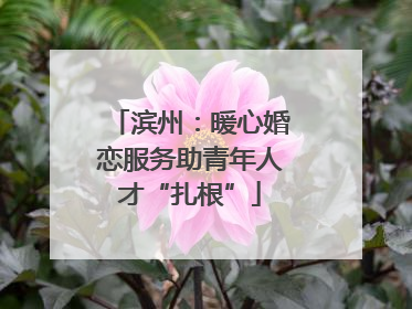 滨州：暖心婚恋服务助青年人才“扎根”