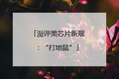 漫评美芯片新规：“打地鼠”
