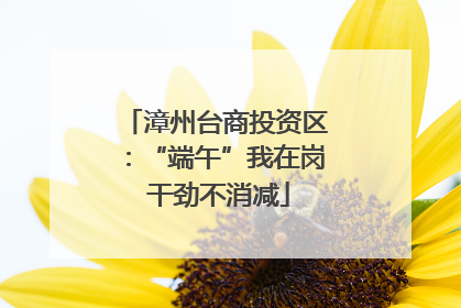 漳州台商投资区：“端午”我在岗 干劲不消减