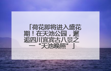 荷花即将进入盛花期！在天池公园，邂逅四川宜宾古八景之一“天池晚照”