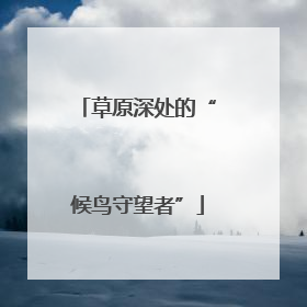 草原深处的“候鸟守望者”