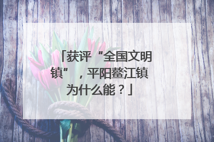 获评“全国文明镇”，平阳鳌江镇为什么能？