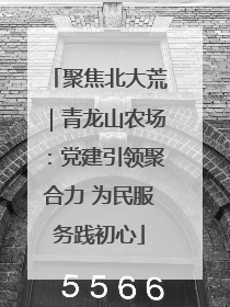 聚焦北大荒｜青龙山农场：党建引领聚合力 为民服务践初心