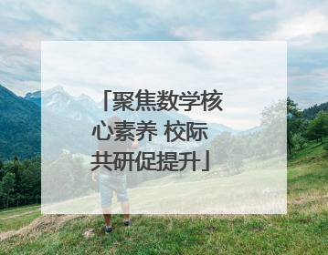 聚焦数学核心素养 校际共研促提升