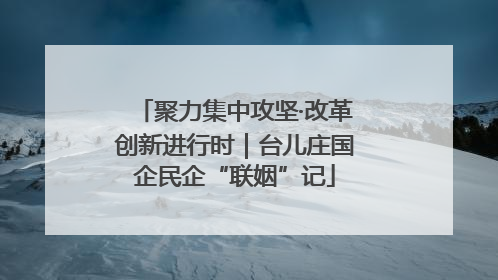 聚力集中攻坚·改革创新进行时｜台儿庄国企民企“联姻”记