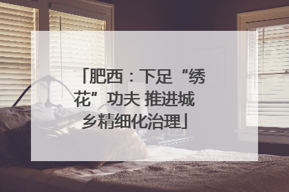 肥西：下足“绣花”功夫 推进城乡精细化治理