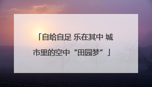 自给自足 乐在其中 城市里的空中“田园梦”