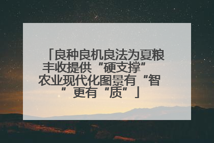 良种良机良法为夏粮丰收提供“硬支撑” 农业现代化图景有“智”更有“质”