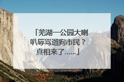 芜湖一公园大喇叭辱骂遛狗市民？真相来了……