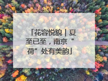 花容悦貌｜夏至已至，南京“荷”处有美韵