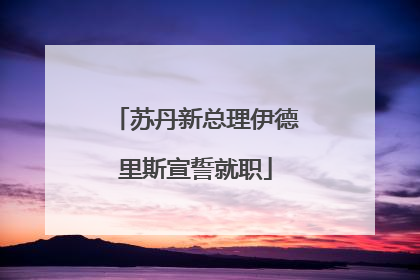 苏丹新总理伊德里斯宣誓就职