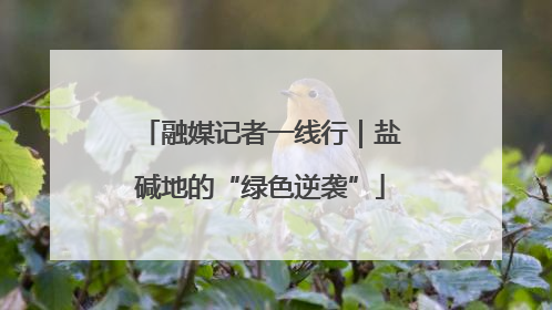 融媒记者一线行｜盐碱地的“绿色逆袭”