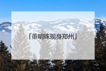 董明珠现身郑州