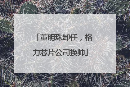 董明珠卸任，格力芯片公司换帅