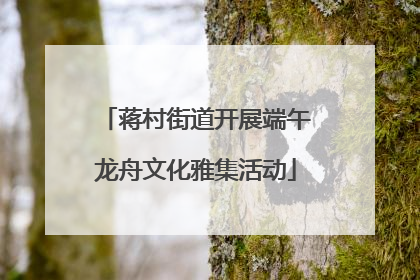 蒋村街道开展端午龙舟文化雅集活动