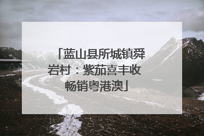 蓝山县所城镇舜岩村：紫茄喜丰收 畅销粤港澳