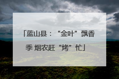蓝山县：“金叶”飘香季 烟农赶“烤”忙
