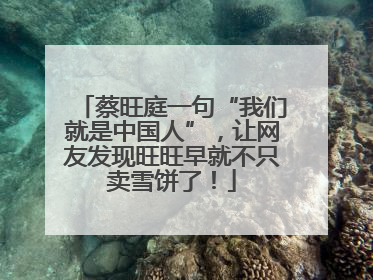蔡旺庭一句“我们就是中国人”，让网友发现旺旺早就不只卖雪饼了！