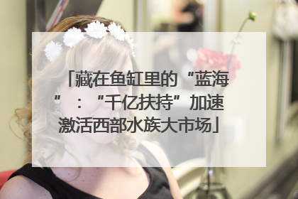 藏在鱼缸里的“蓝海”：“千亿扶持”加速激活西部水族大市场