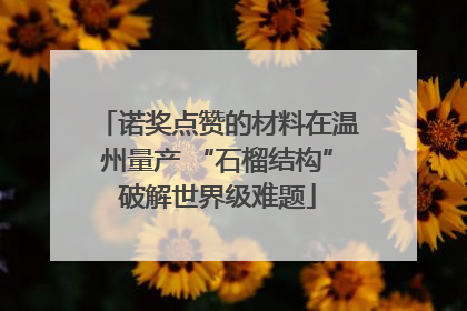 诺奖点赞的材料在温州量产 “石榴结构”破解世界级难题