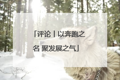 评论丨以奔跑之名 聚发展之气