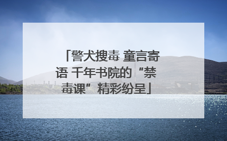 警犬搜毒 童言寄语 千年书院的“禁毒课”精彩纷呈