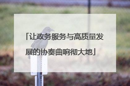 让政务服务与高质量发展的协奏曲响彻大地