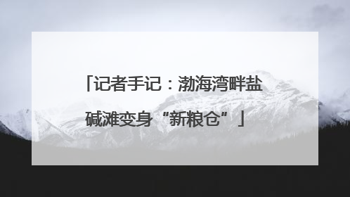 记者手记：渤海湾畔盐碱滩变身“新粮仓”