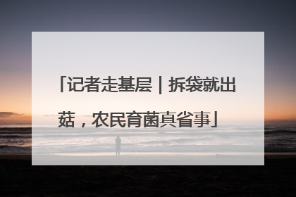 记者走基层｜拆袋就出菇，农民育菌真省事