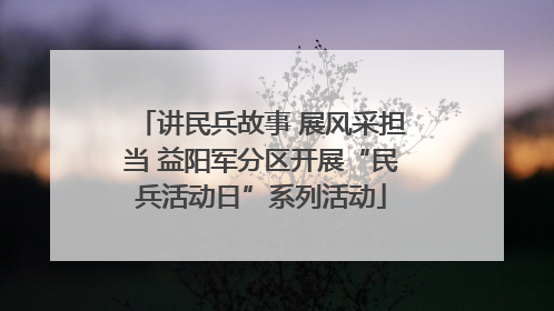 讲民兵故事 展风采担当 益阳军分区开展“民兵活动日”系列活动