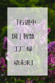 行进中国｜智慧工厂 绿动未来
