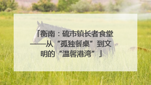 衡南：硫市镇长者食堂——从“孤独餐桌”到文明的“温馨港湾”