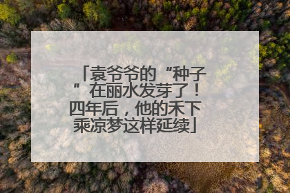 袁爷爷的“种子”在丽水发芽了！四年后，他的禾下乘凉梦这样延续