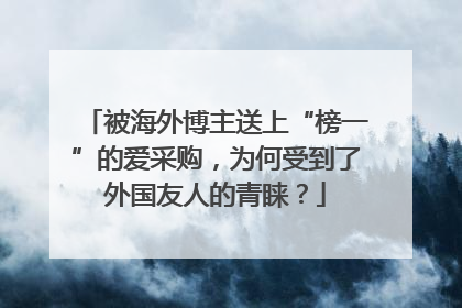 被海外博主送上“榜一”的爱采购，为何受到了外国友人的青睐？