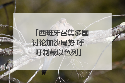 西班牙召集多国讨论加沙局势 呼吁制裁以色列
