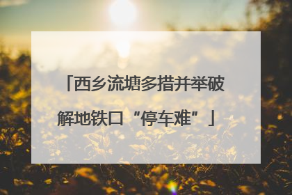 西乡流塘多措并举破解地铁口“停车难”