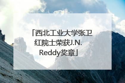 西北工业大学张卫红院士荣获J.N.Reddy奖章