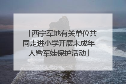 西宁军地有关单位共同走进小学开展未成年人暨军娃保护活动